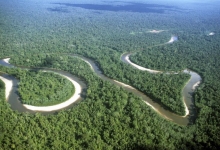Parque Nacional Yasuní