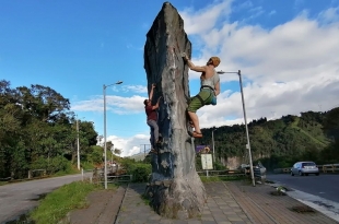 Cuyuja